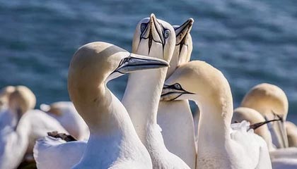 走势图-西甲：姆巴佩因伤缺阵 皇马遭遇两连败